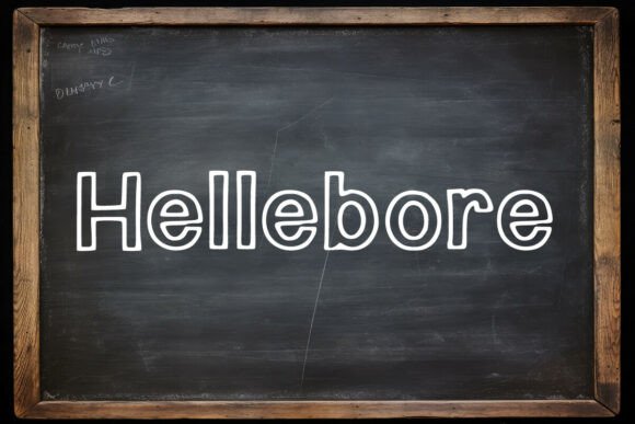 Hellebore: The Premium Display Font for Polished Brand Identity